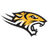 Towson Tigers