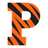 Princeton Tigers