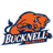 Bucknell Bison