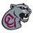 Concord Mountain Lions