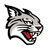 Davidson Wildcats