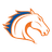 UT Arlington Mavericks