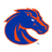 Boise State Broncos