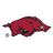 Arkansas Razorbacks